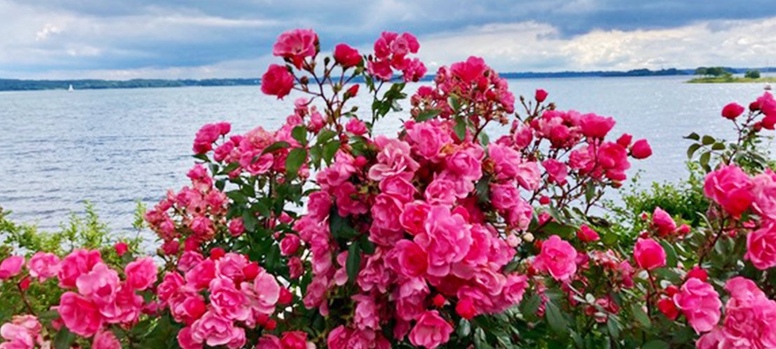 valentinstag maerchenzeit
