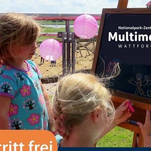 Sommerfest am Multimar Wattforum Tönning 2026