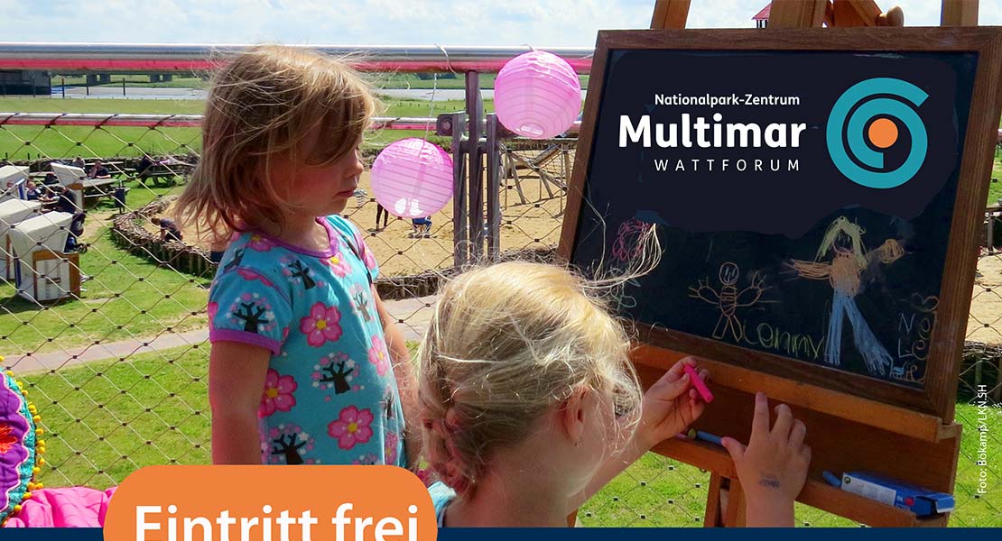Sommerfest am Multimar Wattforum Tönning 2026